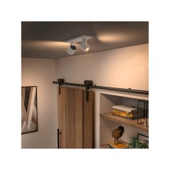 Philips by Signify Philips Hue White Ambience
